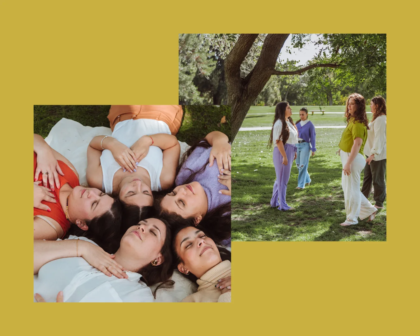 Diseño sin título (13)